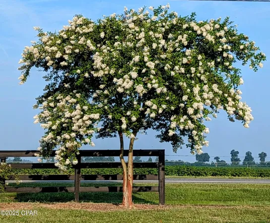 $599,000 | 5223 A Palamino Lane, Greenwood, FL 32443