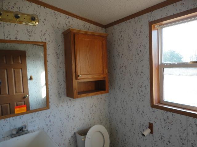 11179 West Briggs Road Trufant, MI 49347 - Photo 11 of 18 Additional Photo