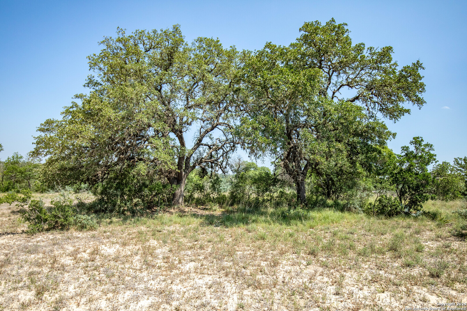 180 Steel Creek Crest Center Pt  