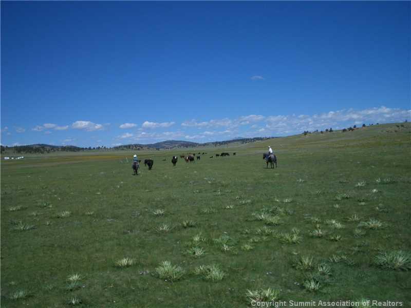7062 Larimer Road Hartsel, CO 80449 - Photo 2 of 25 a view of a field with an ocean