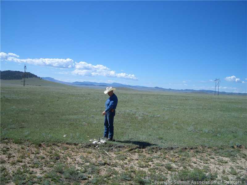 7062 Larimer Road Hartsel, CO 80449 - Photo 11 of 25 a view of a field