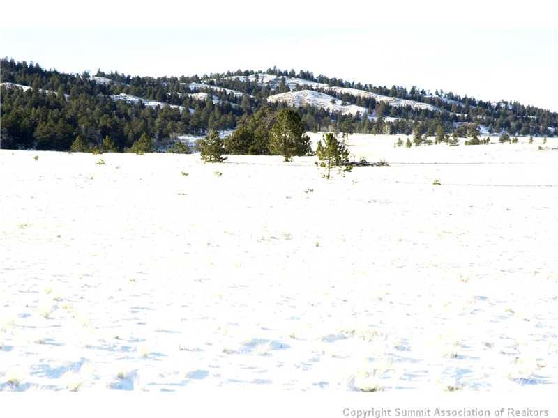 7062 Larimer Road Hartsel, CO 80449 - Photo 14 of 25 a view of sky view