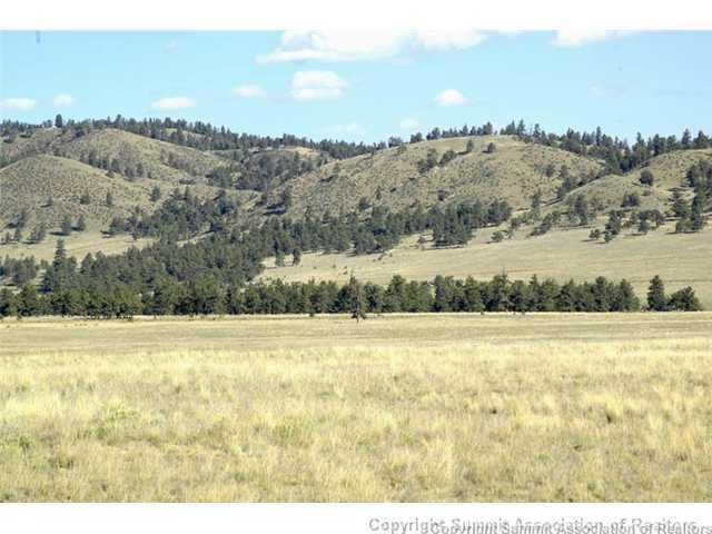 7062 Larimer Road Hartsel, CO 80449 - Photo 20 of 25 a view of an outdoor space and mountain
