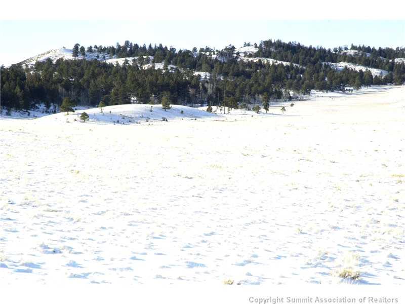 7062 Larimer Road Hartsel, CO 80449 - Photo 7 of 25 a view of a yard with snow on the road
