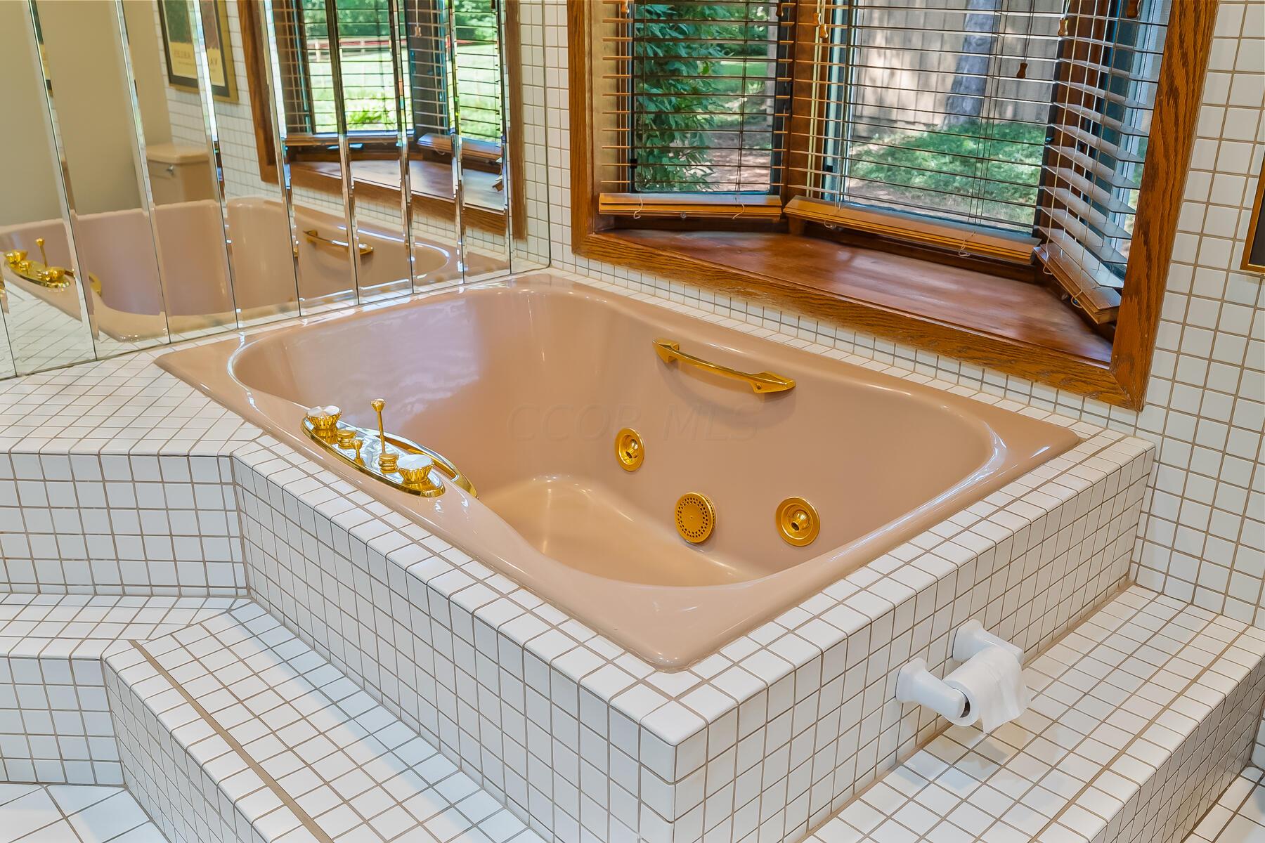 4082 Clotts Road Columbus, OH 43230 - Photo 26 of 76 JETTED TUB