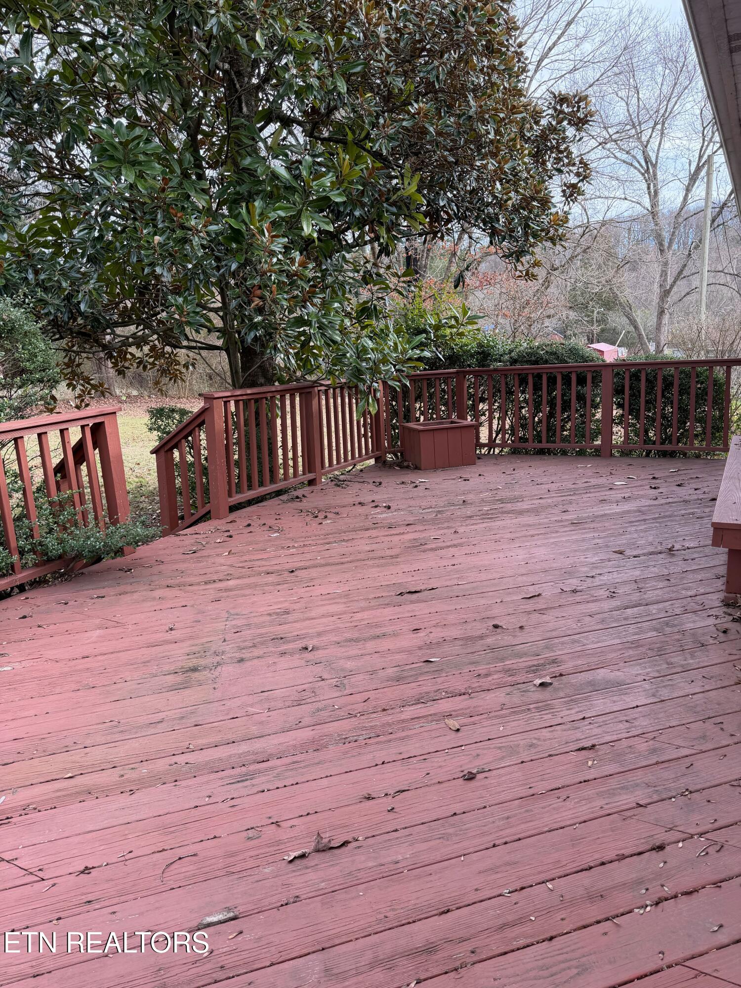 3016 Shelbourne Road Knoxville, TN 37917 - Photo 5 of 13 IMG_0275