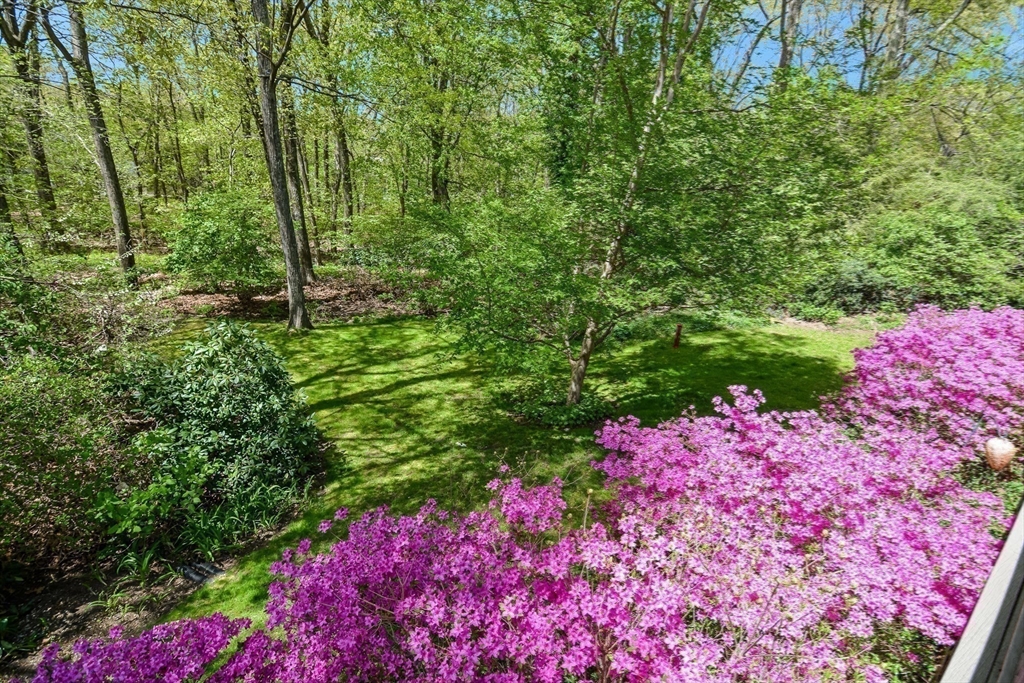 3 Kimball Road Hopkinton, MA 01748 - Photo 41 of 42 Gallery Image 41