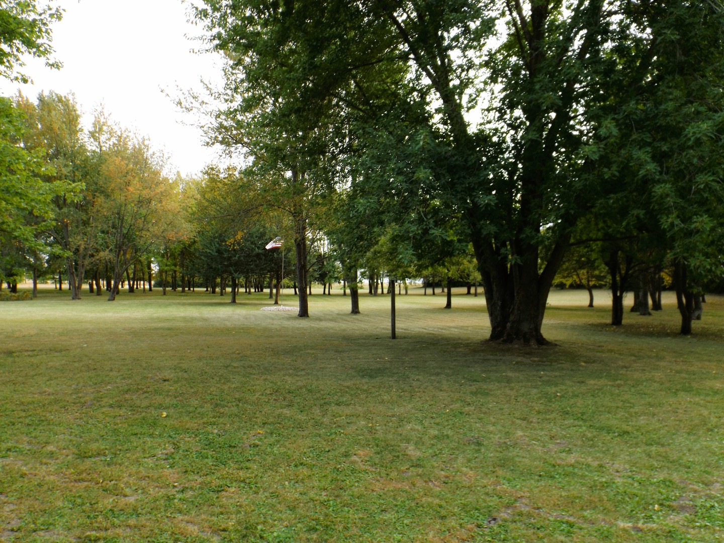 7573 Blue Goose Road Prophetstown, IL 61277 - Photo 3 of 24 a view of outdoor space with trees