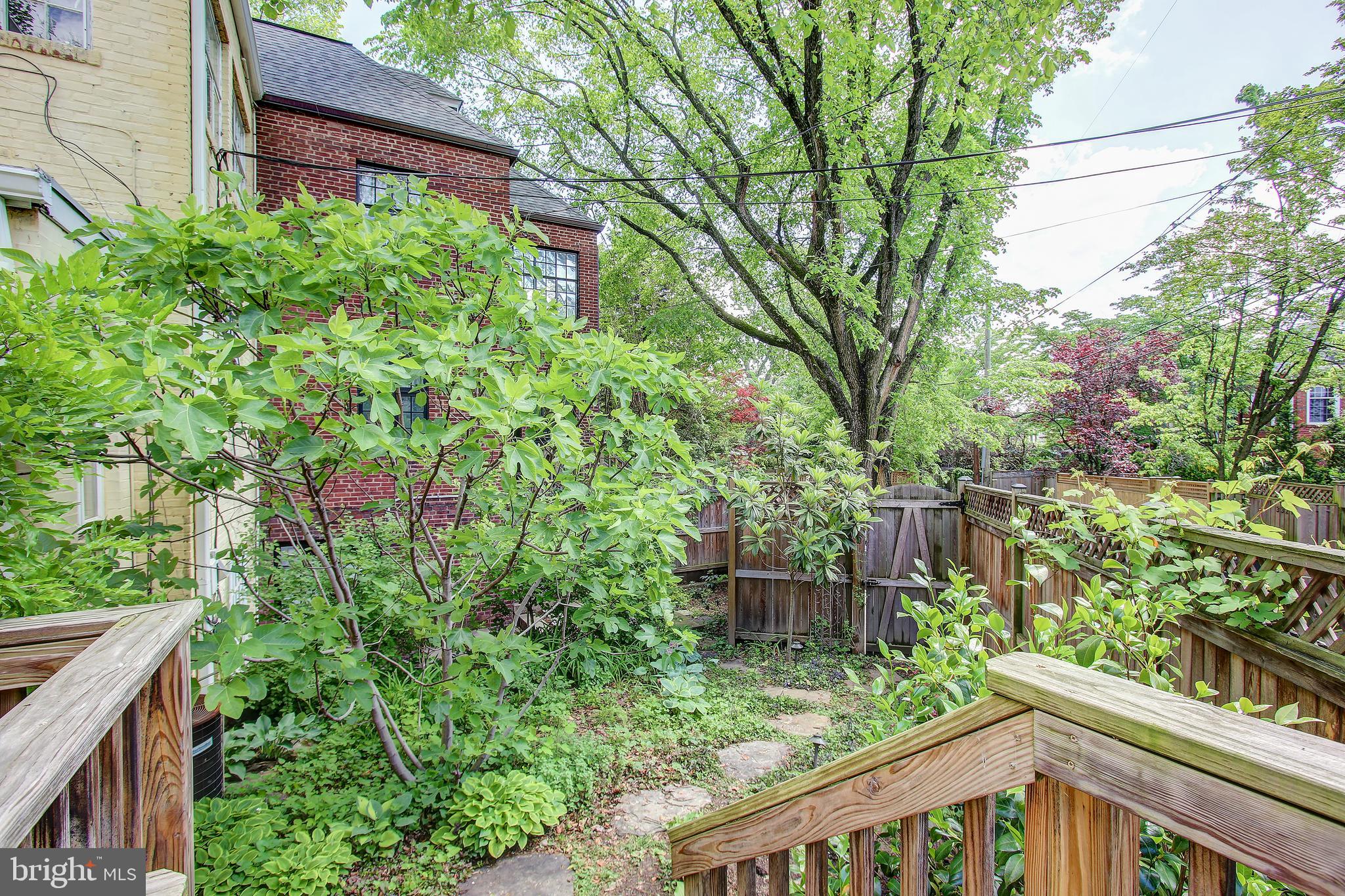 3232 Klingle Road Northwest Washington, DC 20008 - Photo 37 of 41 View into Backyard