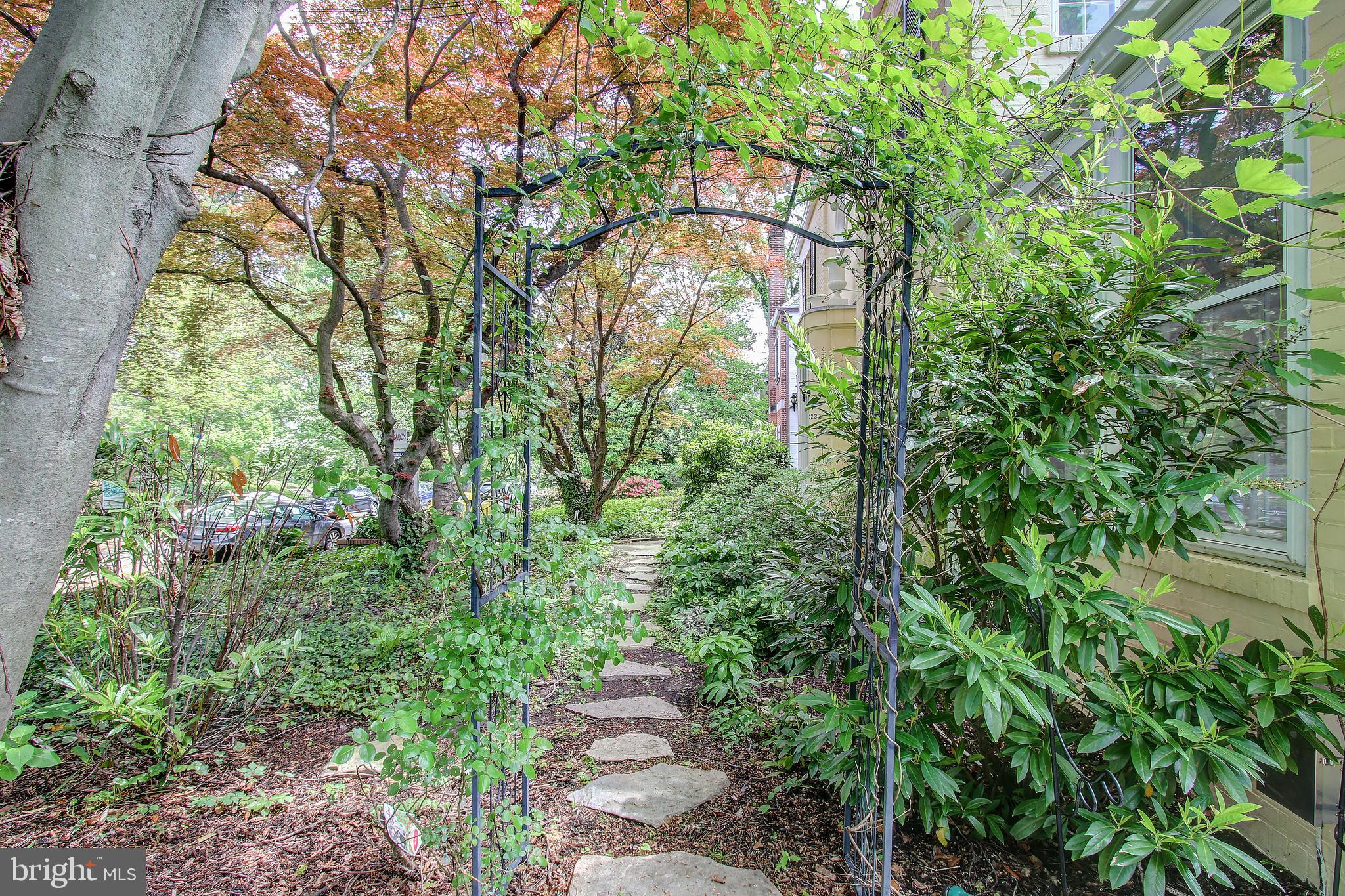 3232 Klingle Road Northwest Washington, DC 20008 - Photo 41 of 41 Front Garden