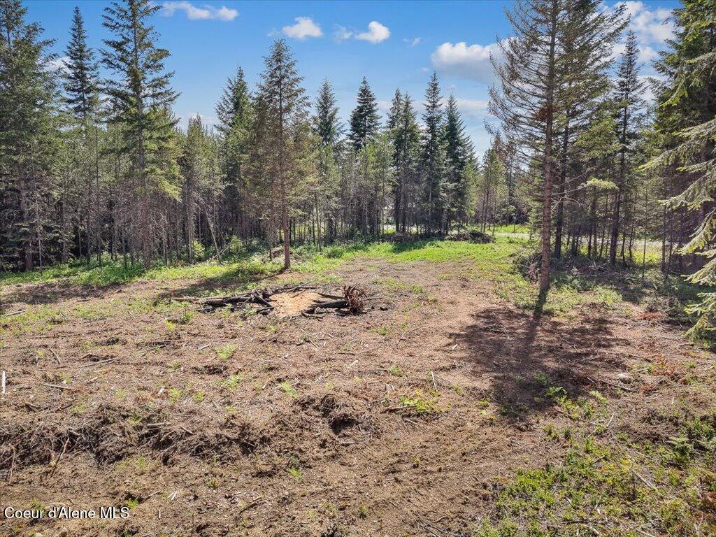Nka West Sturgeon Road Rathdrum, ID 83858 - Photo 20 of 21 20-020_Aerial View