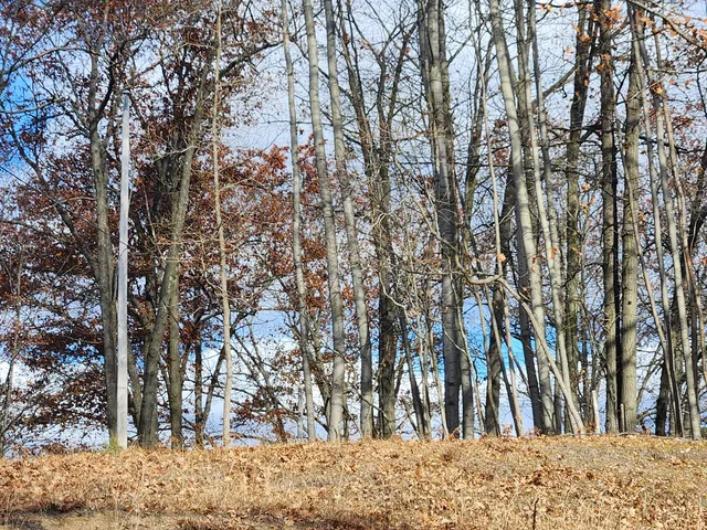 $460,000 | 10980 North Marywood Drive, Stanwood, MI 49346