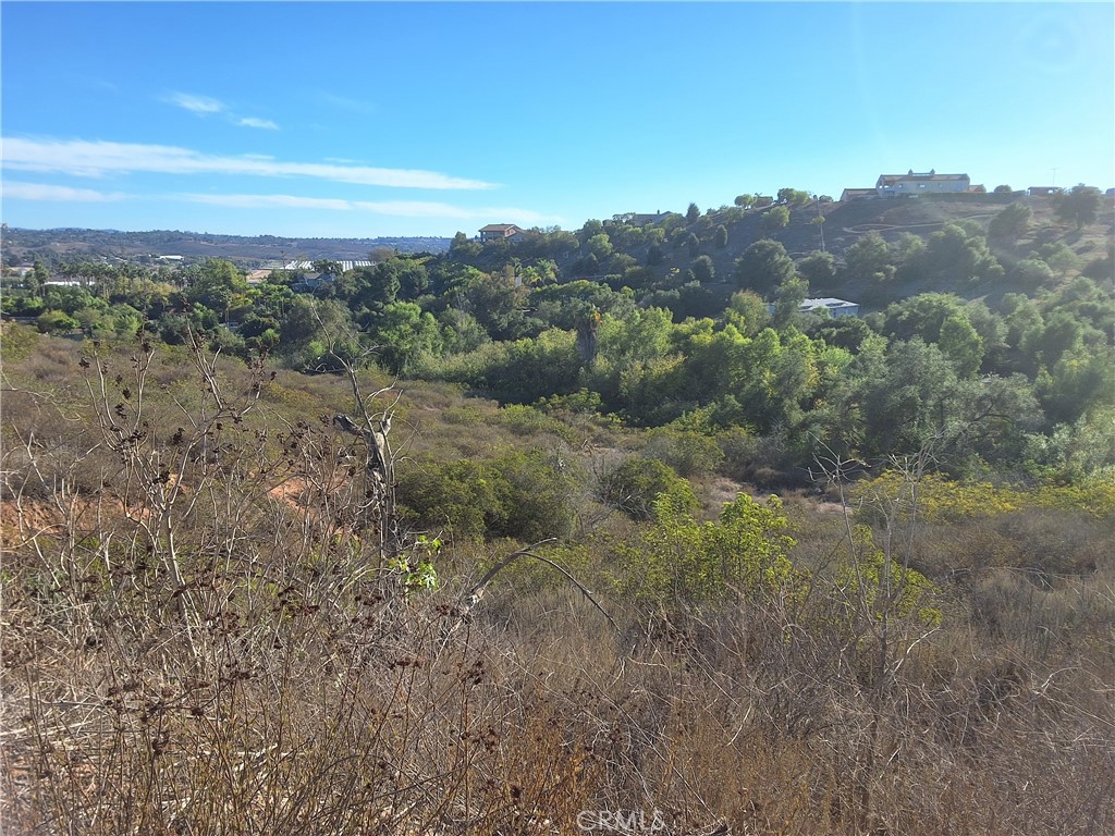 0 Vía Puerta Del Sol Bonsall, CA 92003 - Photo 11 of 25