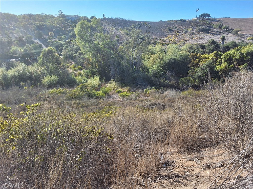 0 Vía Puerta Del Sol Bonsall, CA 92003 - Photo 14 of 25 a view of a yard with a tree