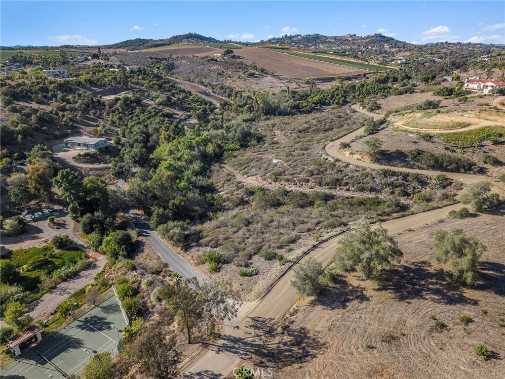 0 Vía Puerta Del Sol Bonsall, CA 92003 - Photo 15 of 25 a view of a forest with a mountain in the background