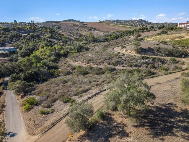 a view of a plants with large trees