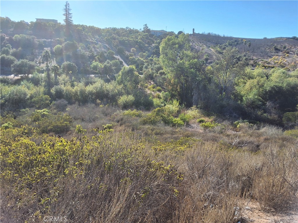 0 Vía Puerta Del Sol Bonsall, CA 92003 - Photo 17 of 25 a view of a dry yard with mountains in the background