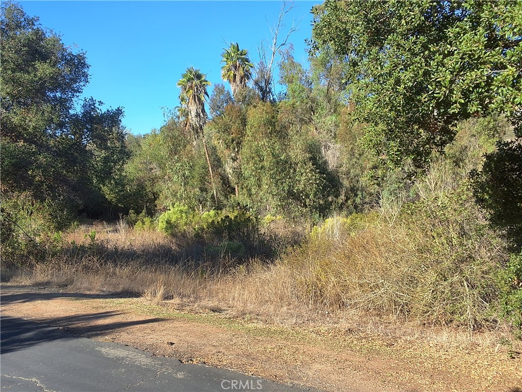 0 Vía Puerta Del Sol Bonsall, CA 92003 - Photo 5 of 25 a view of a yard