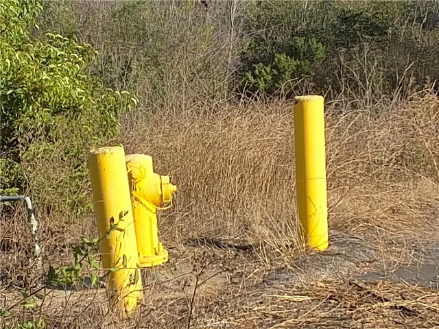 a view of a swimming pool with a yard