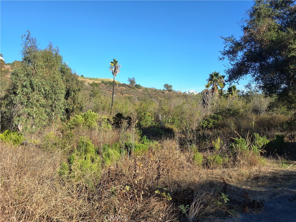 0 Vía Puerta Del Sol Bonsall, CA 92003 - Photo 7 of 25 a view of a houses with a yard