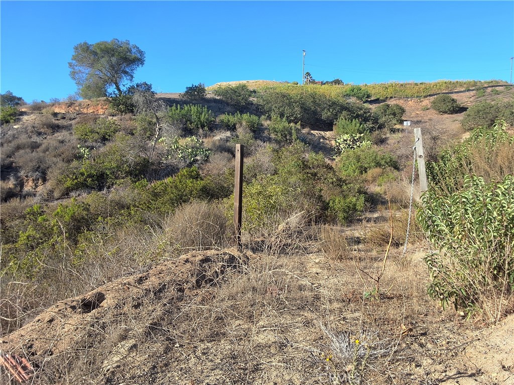 0 Vía Puerta Del Sol Bonsall, CA 92003 - Photo 9 of 25 a view of a forest