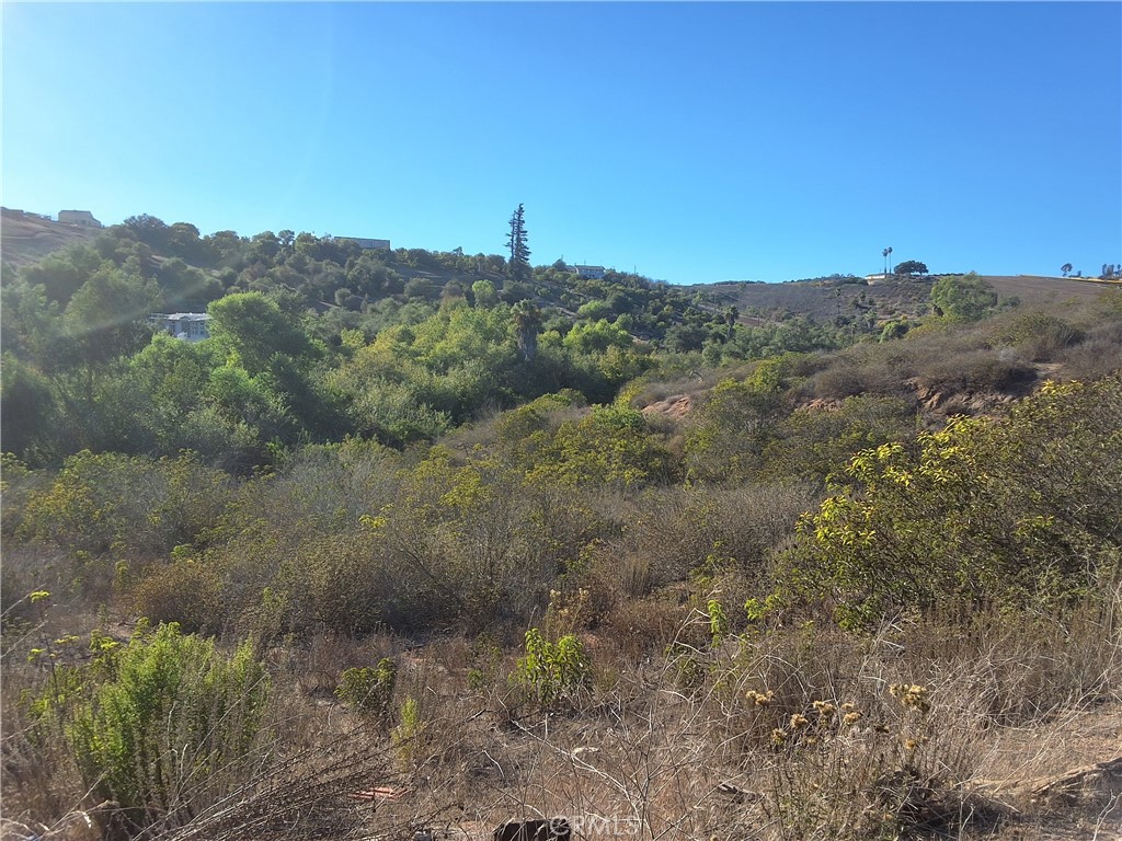 0 Vía Puerta Del Sol Bonsall, CA 92003 - Photo 10 of 25 a view of a forest with mountains in the background