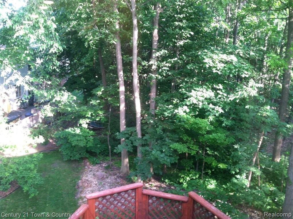 1331 Thames Drive Rochester, MI 48307 - Photo 24 of 25 IMG_1880.JPG