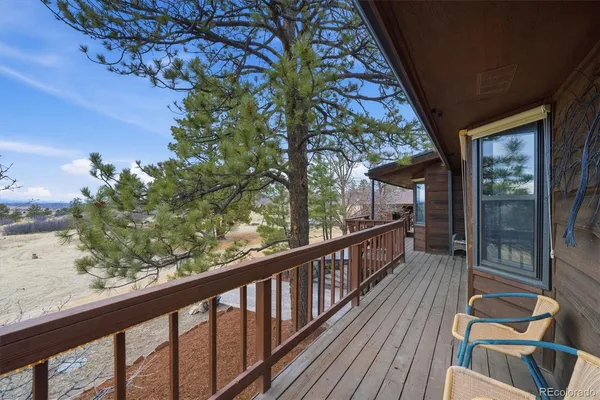 a view of a backyard with large trees