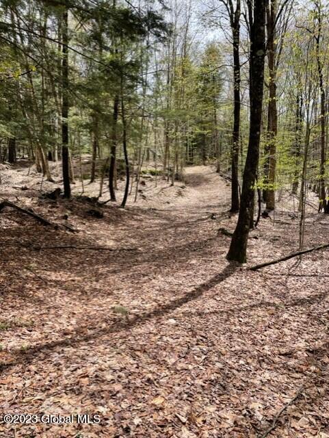 1402 South Shore Road Edinburg, NY 12835 - Photo 64 of 68 thumbnail_IMG_2194