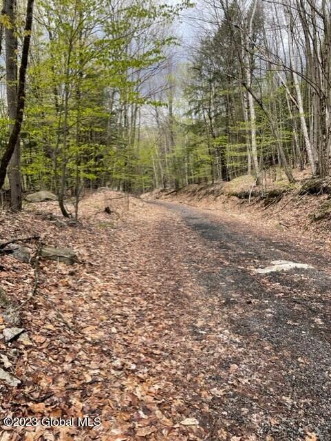 1402 South Shore Road Edinburg, NY 12835 - Photo 66 of 68 thumbnail_IMG_2195