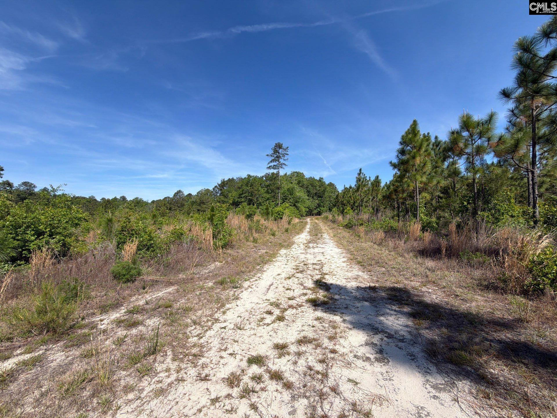 1 Holstein Road Monetta, SC 29105 - Photo 6 of 36