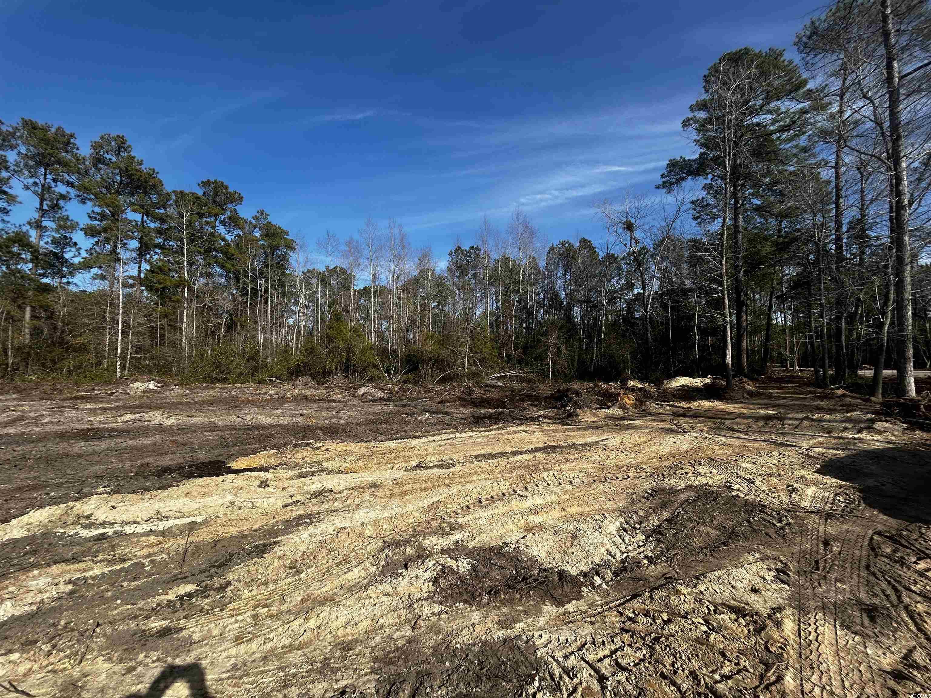 Lot 1 Harvey Road Loris, SC 29569 - Photo 1 of 5 Gallery Image 1