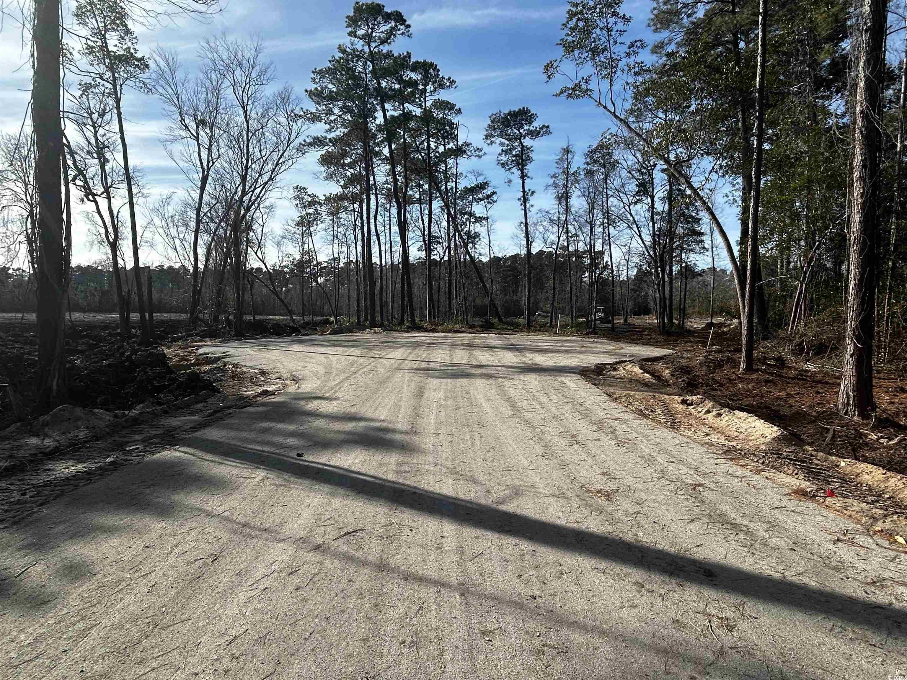 Lot 1 Harvey Road Loris, SC 29569 - Photo 2 of 5 View of street