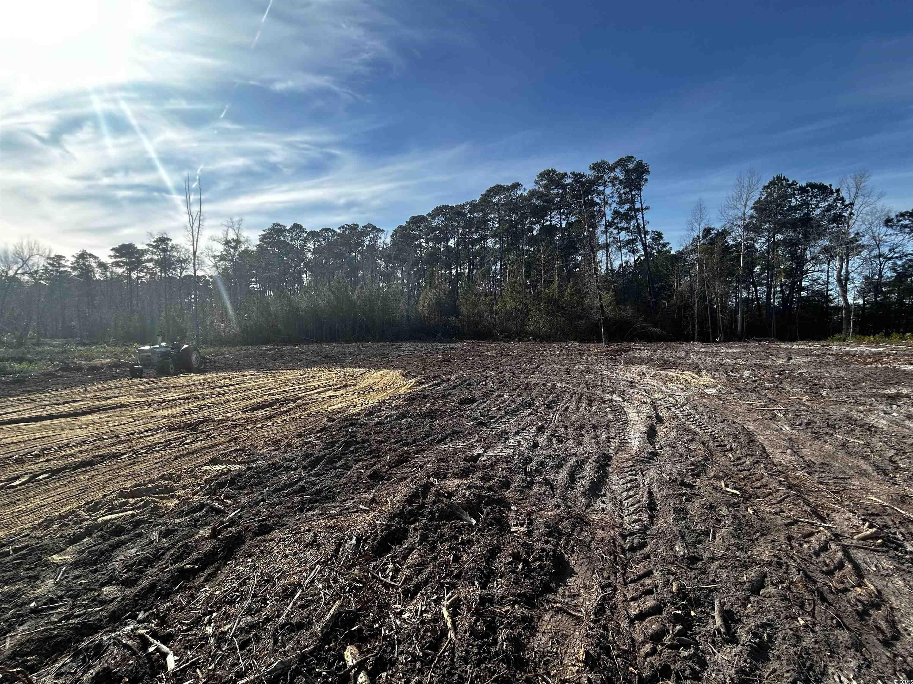 Lot 1 Harvey Road Loris, SC 29569 - Photo 4 of 5 View of yard featuring a wooded view