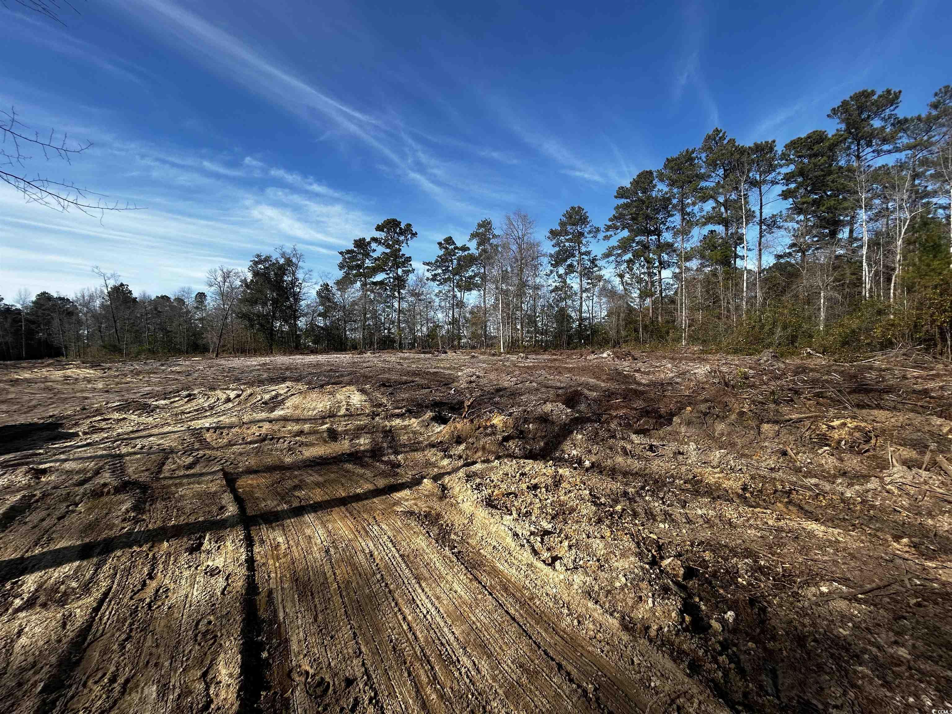 Lot 1 Harvey Road Loris, SC 29569 - Photo 5 of 5 View of landscape
