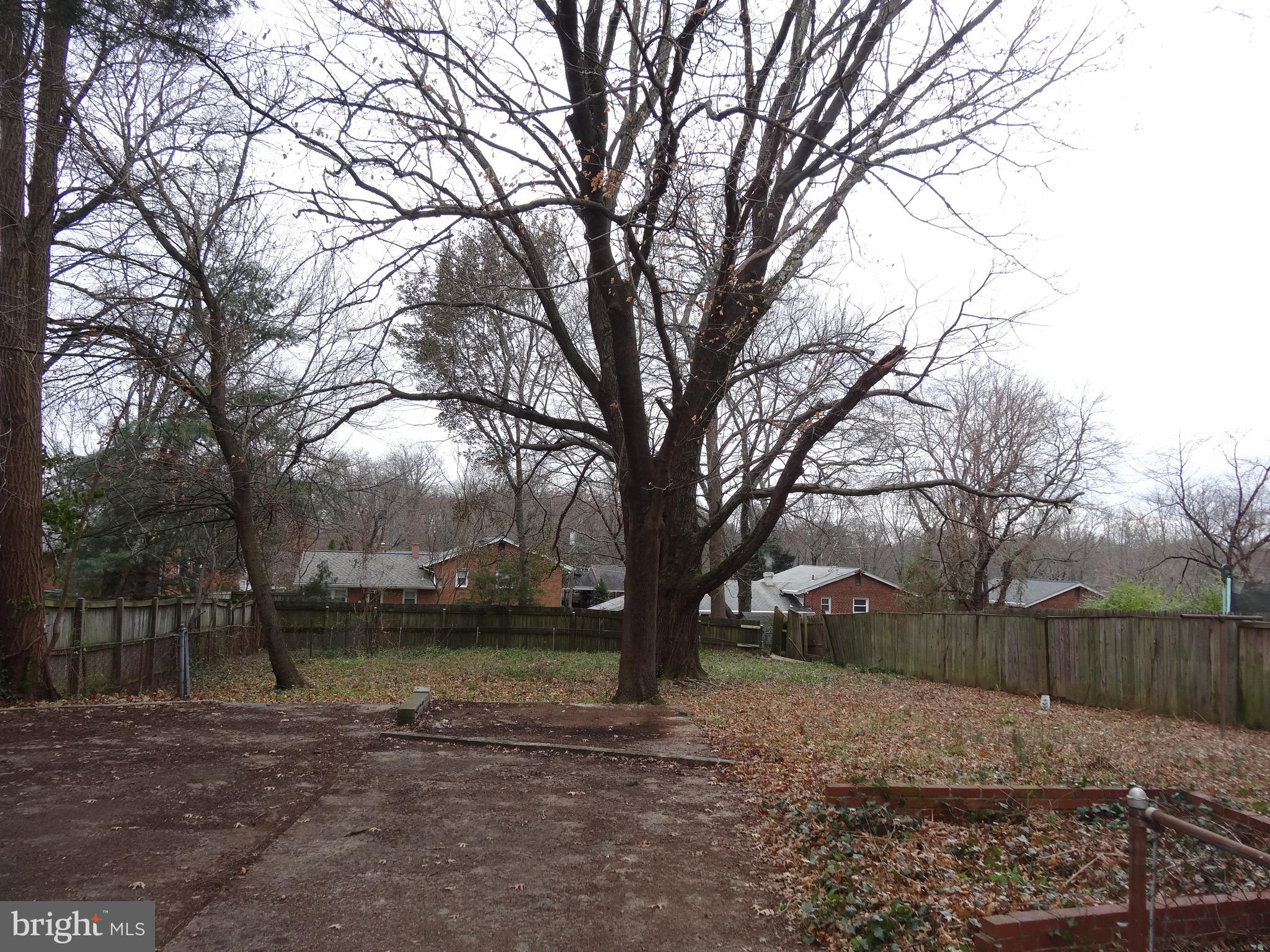 1704 Arcola Avenue Silver Spring, MD 20902 - Photo 6 of 9 Huge backyard