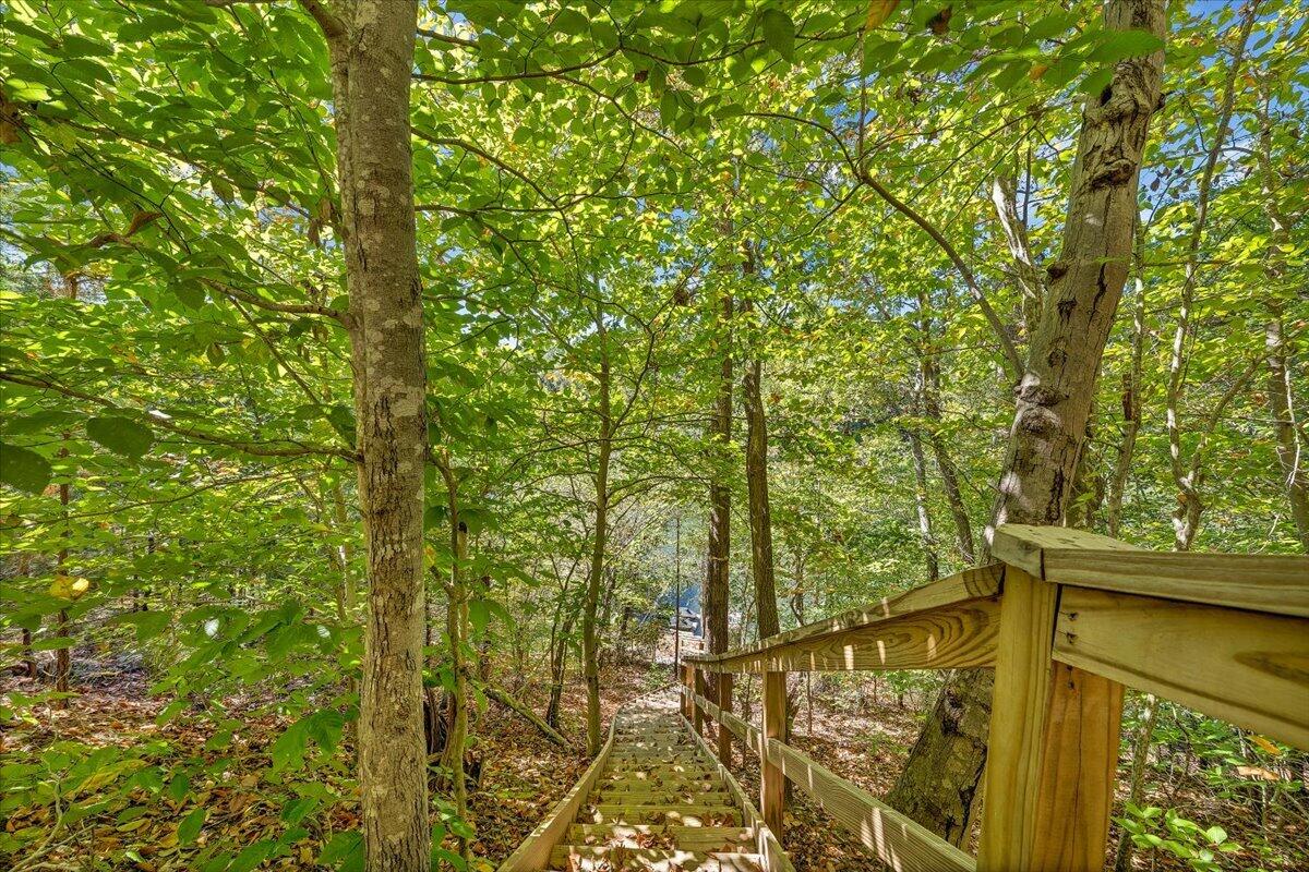 41 Old Point Road Moneta, VA 24121 - Photo 96 of 99 09-MIB04647