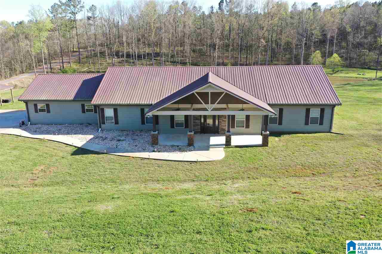65 County Road 910 Delta, AL 36258 - Photo 1 of 38