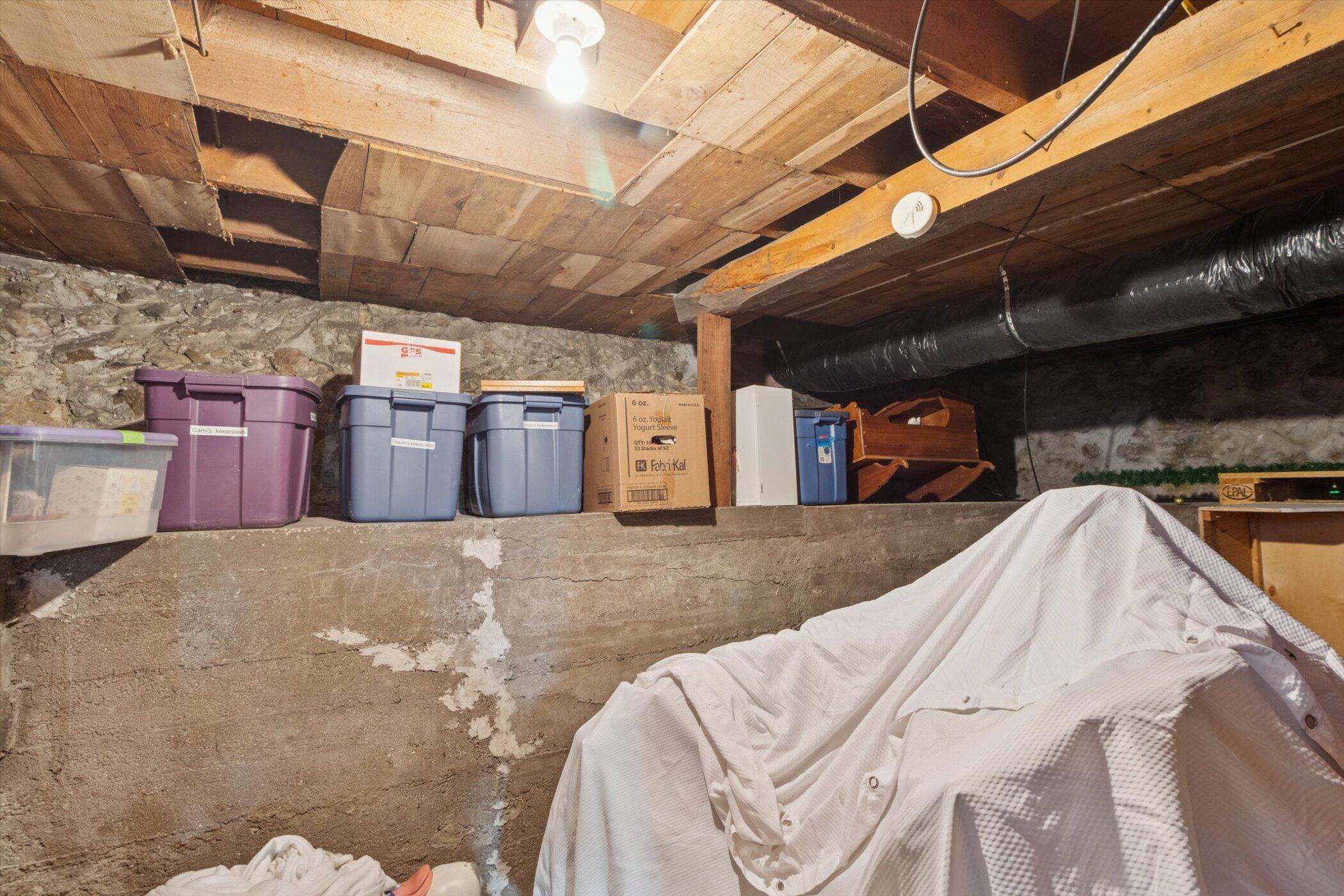 223 West Todd Avenue Reed City, MI 49677 - Photo 55 of 70 55-IMG_6787