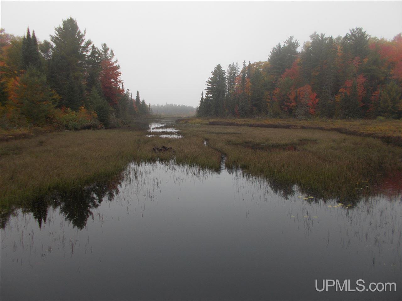 640-acres Peshekee Grade Road Skanee, MI 49946 - Photo 6 of 37
