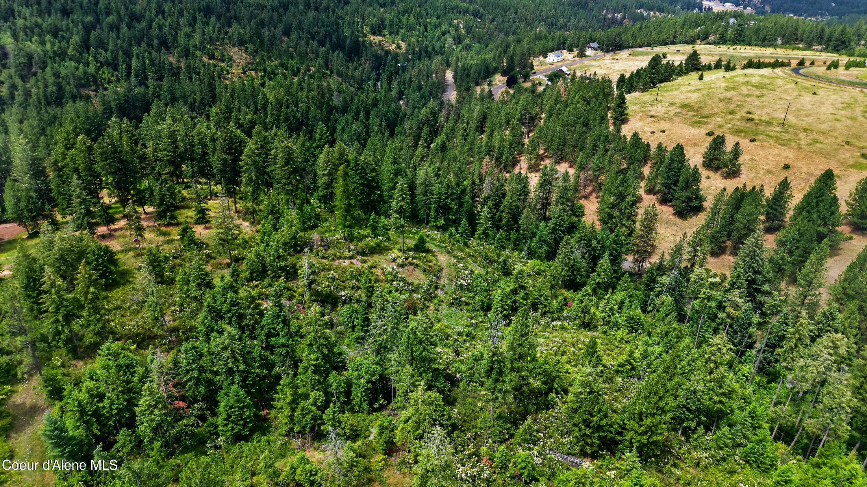 3343 South Carpenter Loop Post Falls, ID 83854 - Photo 48 of 49 DJI_20260630035058_0052_D