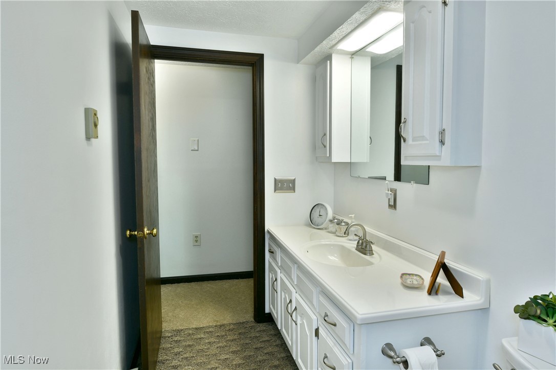 379 Housel Craft Road Bristolville, OH 44402 - Photo 32 of 50 Half bathroom with vanity and toilet