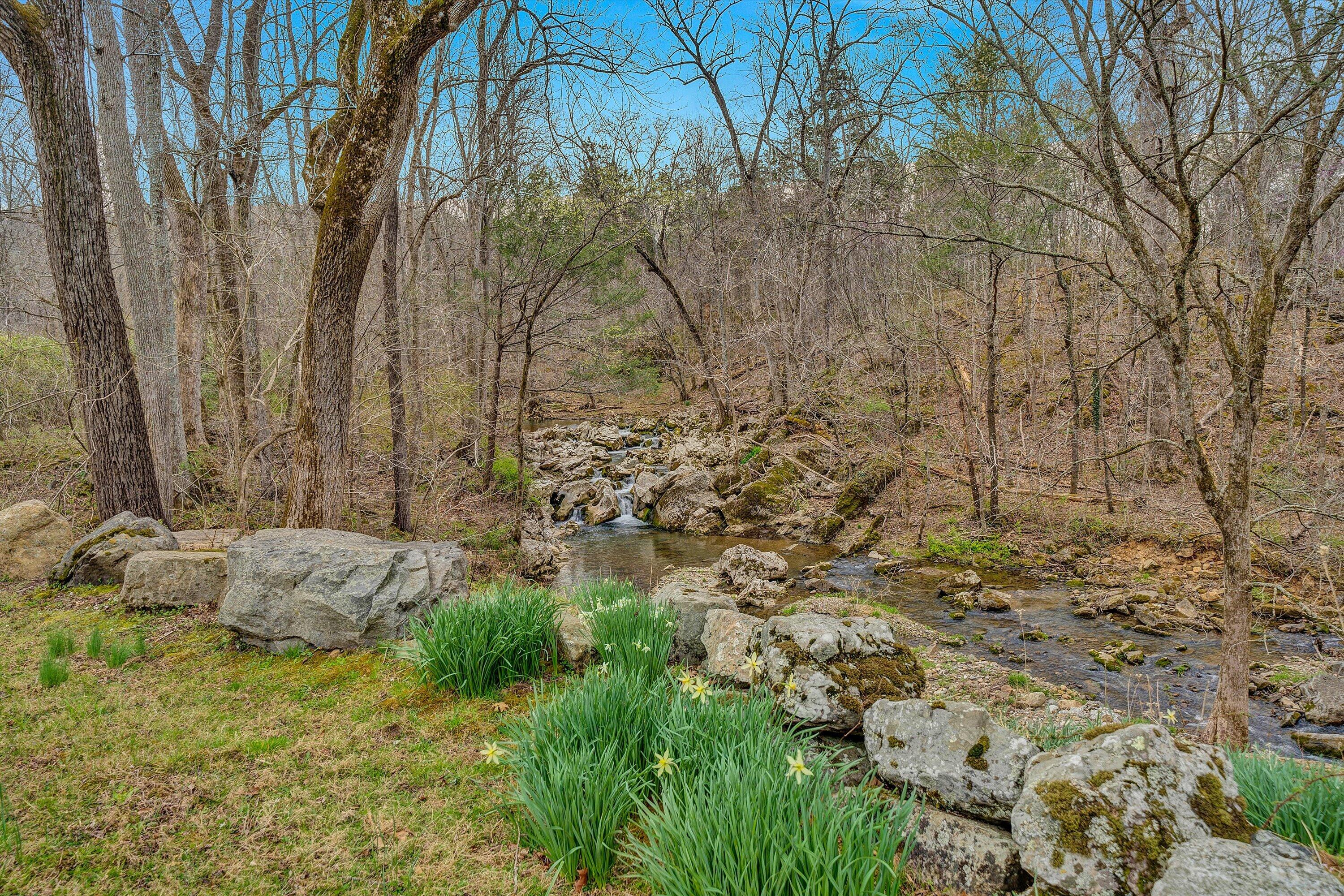 1066 Greyledge Road Buchanan, VA 24066 - Photo 112 of 121 131-SGP-00671