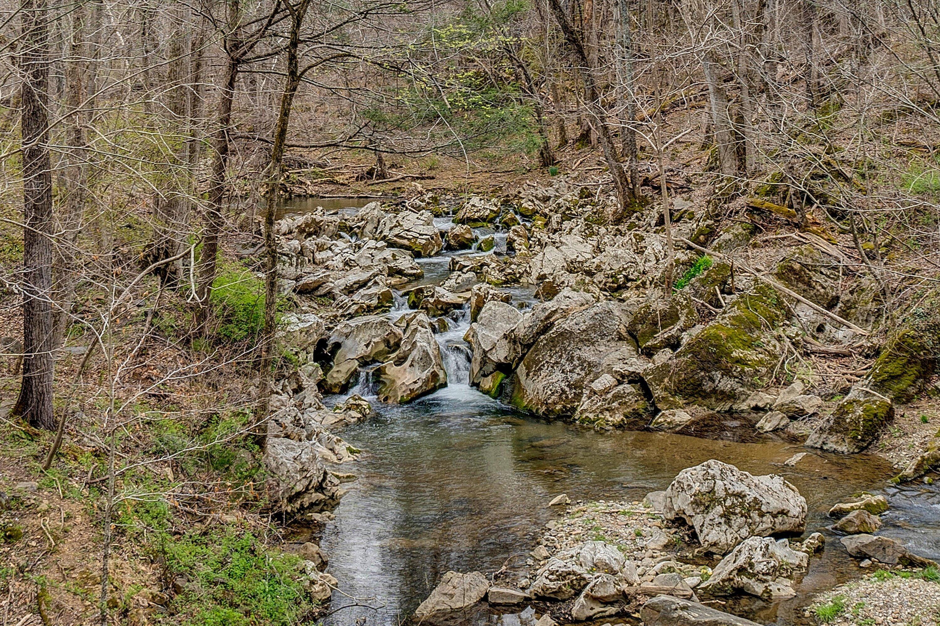 1066 Greyledge Road Buchanan, VA 24066 - Photo 113 of 121 132-SGP-00676