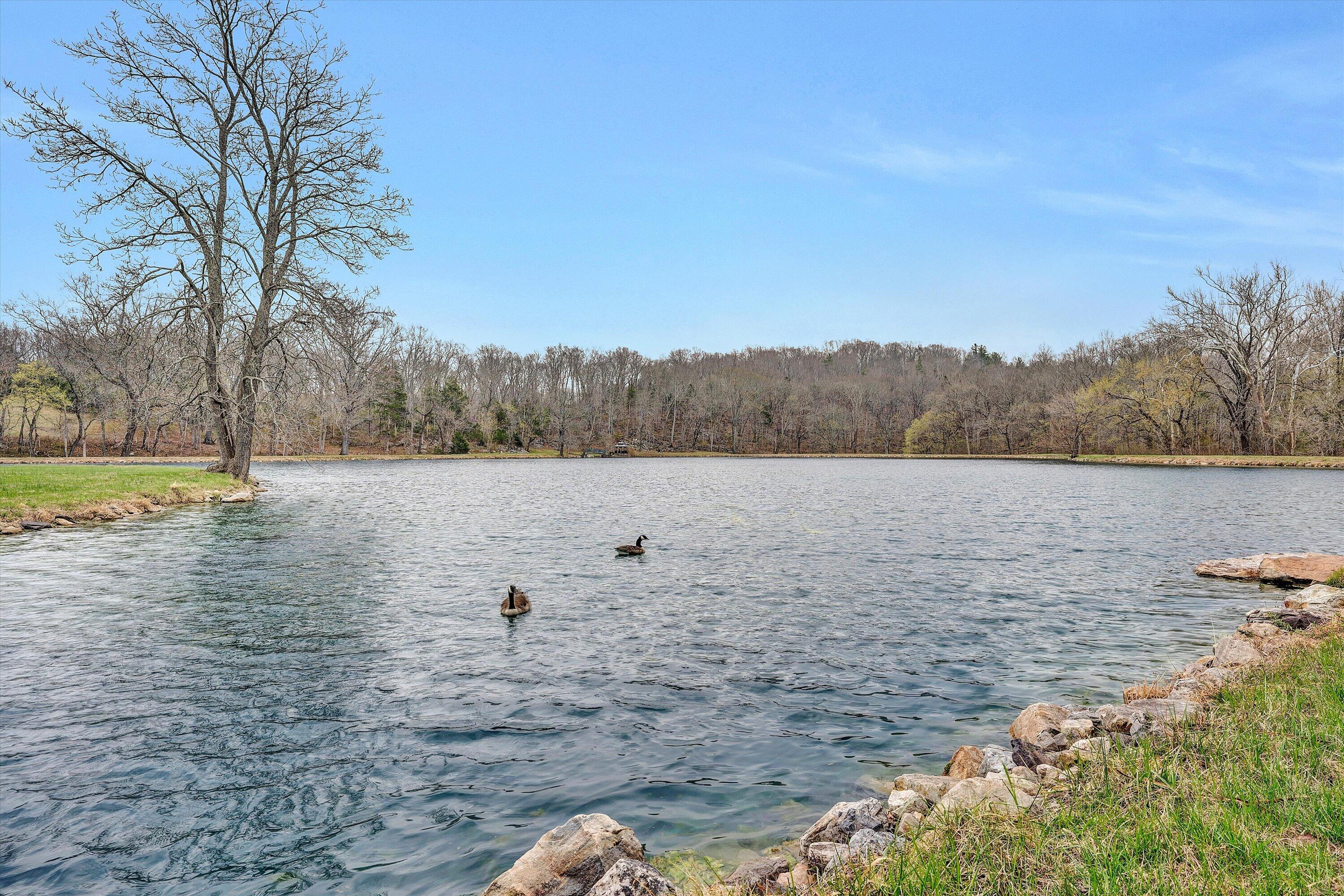 1066 Greyledge Road Buchanan, VA 24066 - Photo 83 of 121 092-SGP-