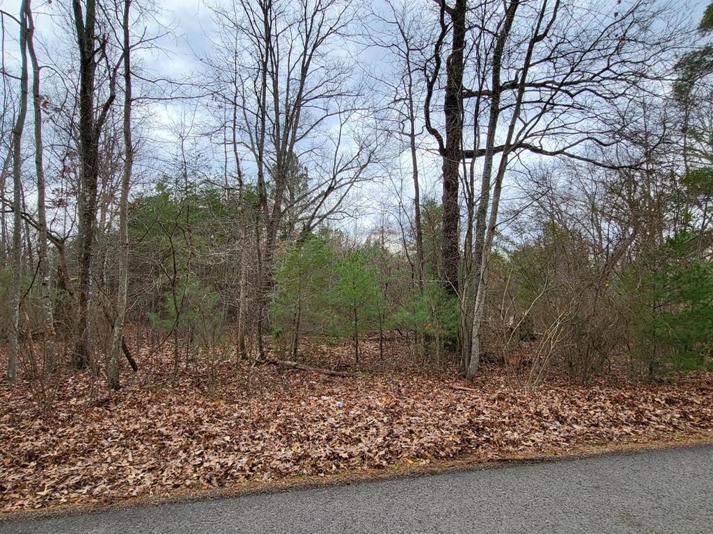 0 Bennie Camp Road Dunlap, TN 37327 - Photo 1 of 5 Gallery Image 1
