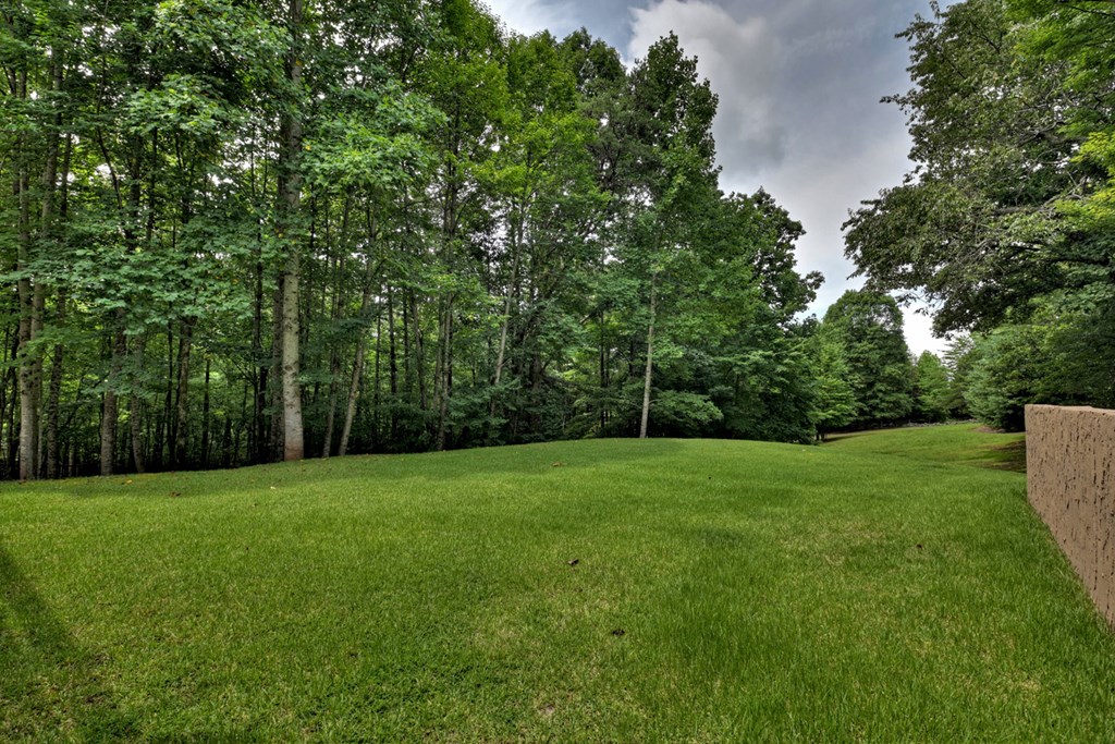 489 Blue Ridge Trail Morganton, GA 30560 - Photo 12 of 49 Gallery Image 12