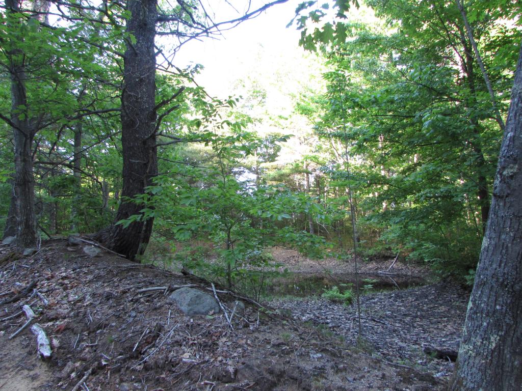 Lot 25 West Road Waterboro, ME 04087 - Photo 1 of 2