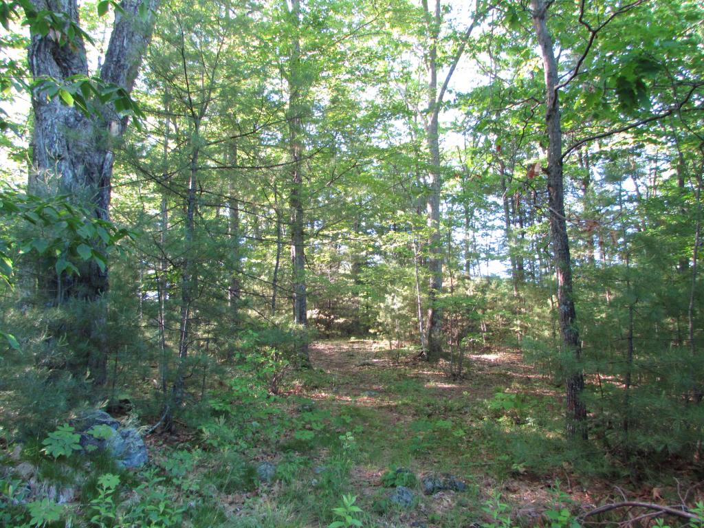 Lot 25 West Road Waterboro, ME 04087 - Photo 2 of 2