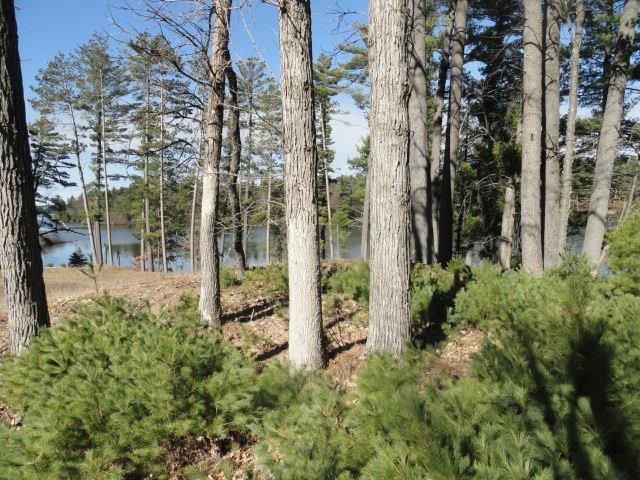 Lot 15 Fly Rod Trail Wisconsin Rapids, WI 54494 - Photo 34 of 56